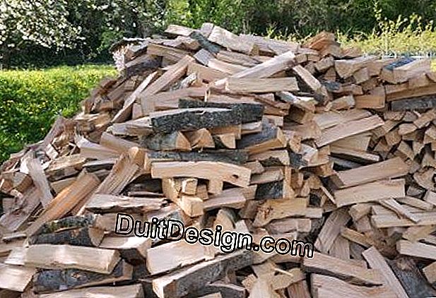Când și cum să cumpăram lemn de foc