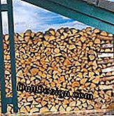 Firewood: good advice