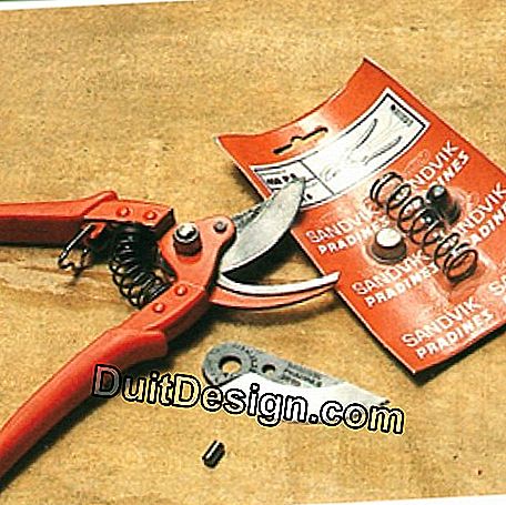 Interchangeable blade and spring pruner, with handle covered with a protective film.