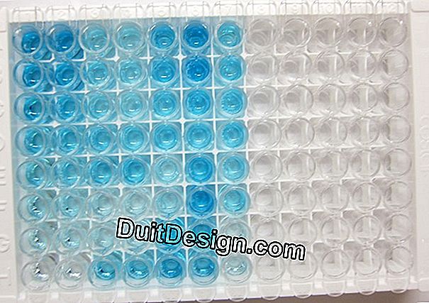 Plate vitro: Yanmış bir leke nasıl çıkarılır?