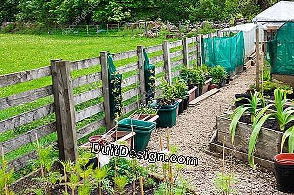 Erstellen Sie einen Gemüsegarten: Bodenvorbereitung