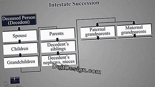 Succession: the search for heirs