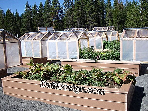 The mini greenhouses of garden