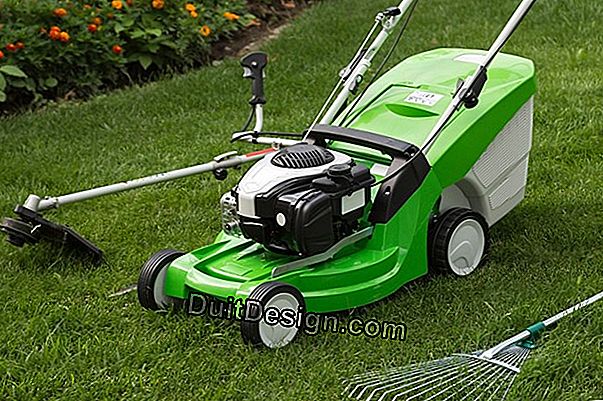 Lawn mower: rotary cutting system