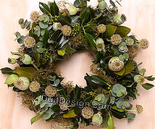 Make your own Christmas wreath