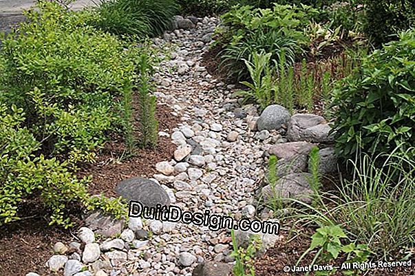 How to build a garden in an arid / dry environment?