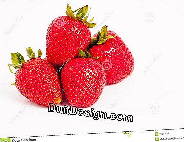 Choose your wood strawberries