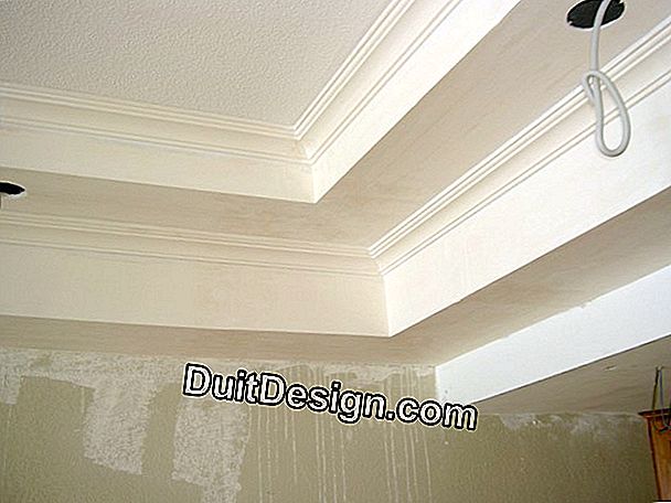 Ceiling cornices