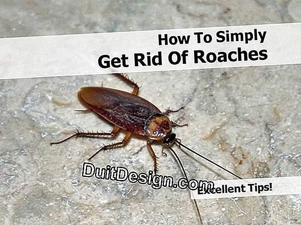 How to get rid of cockroaches?