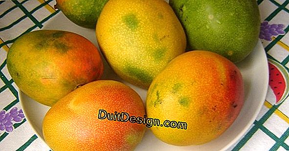 Tamaño (trigemma) fruto fructífero (pepitas)