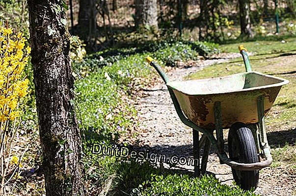 Herramientas de jardín: encontrar la pala adecuada.