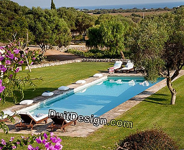 Piscina de madera, hormigón o concha de poliéster?