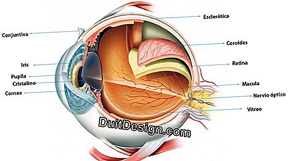 La mirilla óptica o el ojo de buey.