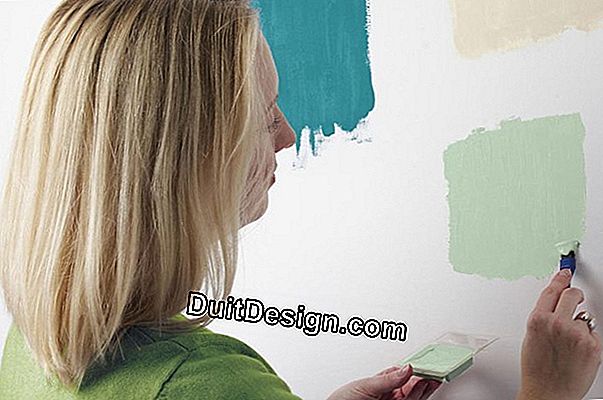 Animar la pintura de tus paredes.