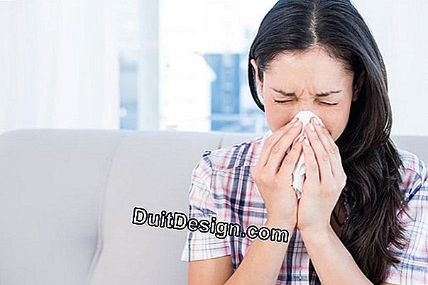 Bagaimana cara mencegah alergi terhadap tungau debu?