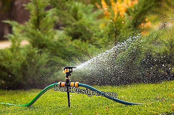 Scegli il tuo sistema di irrigazione automatico.