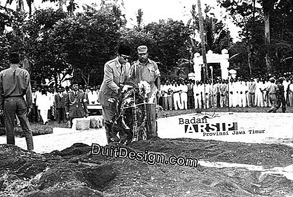 10 Buah buah dan sayur-sayuran yang terbaik untuk berkembang