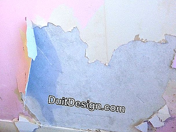 Toupret plaster hiasan: Hiasan tradisi hangat