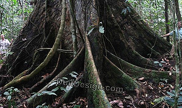 Soalan mengenai sokongan waranti untuk jubin retak