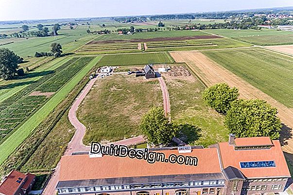 Landschappelijk en bloeiend een dijk