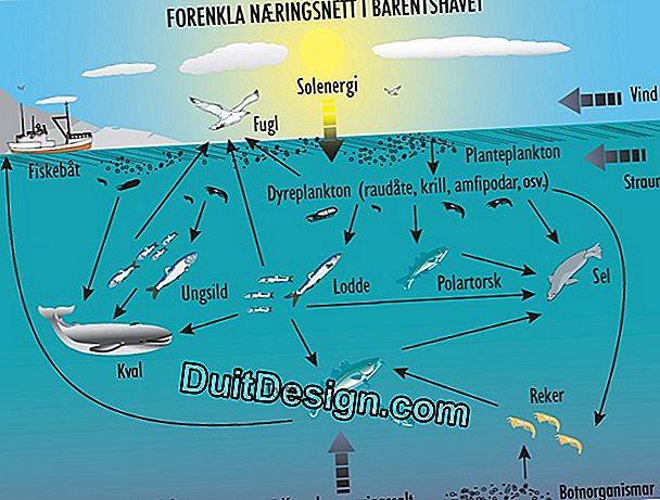 Alt om de forskjellige stillingene til flisene.