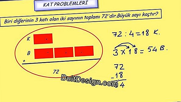 Demir problemleri